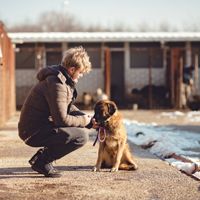 Young male looking after dog in shelter